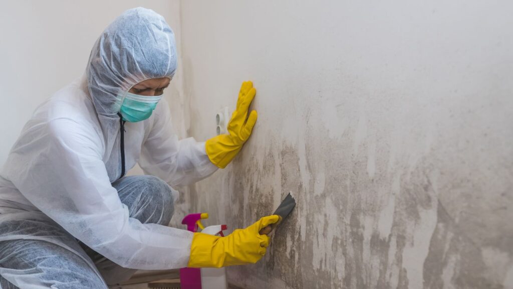 How To Remove Mold From Painted Walls