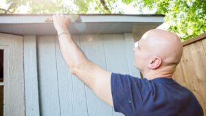 Paint A Shed